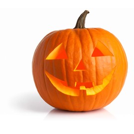 Pumpkin Seeds for Planting - to Plant Jack O' Lantern Pumpkins