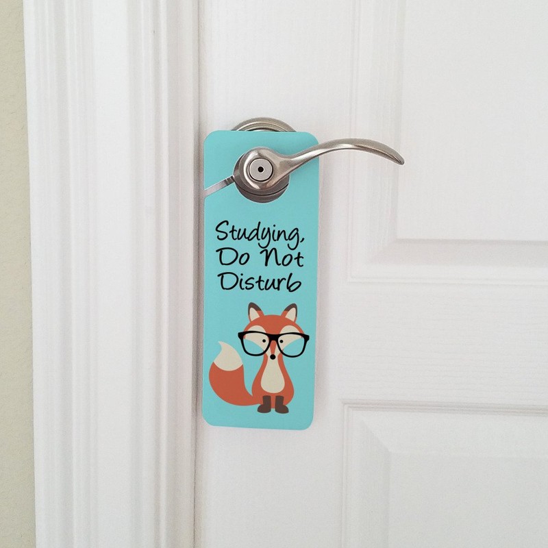 GRAPHICS & MORE Studying Do Not Disturb Fox with Glasses