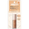 CRAF AIR RETOUCH CONTROL CONSILER CAMEL BEIGE 1000