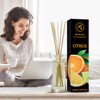 Citrus Reed Diffuser 3.4 Fl Oz (100ml) Room - Fragrance
