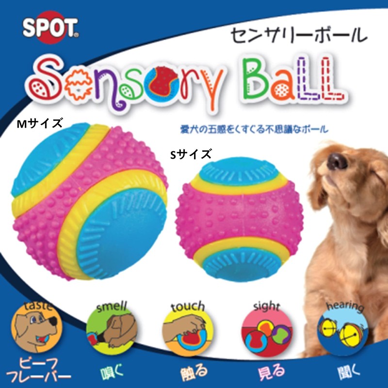 PLATZ PET SUPPLISE&FUN Dog Toy, Sensory Ball, Medium Size
