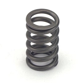 Crower Cams 68190-24 Valve Spring