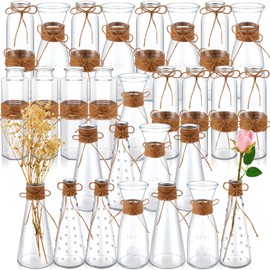 Domensi 28 Pieces Small Glass Bud Vases Bulk Vintage Glass Flower Vase with Rope Mini Vases for Centerpieces Rustic Decorative Vase Clear Differing Shapes Vases for Wedding Baby Shower Bridal