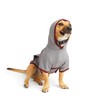 Reddy Soothing Dog Hoodie, Medium