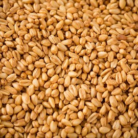 수입산 볶은귀리 200gX2 Imported Roasted Oats 200gX2