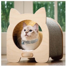 Wanfoou 6 Pack Cat Collar with Bell,Mixed Colors Cat Collars,Adjustable Small Cat Collar,Ideal for Girl Cats Male Cats Kittens Puppies,Pet Supplies Stuff Accessories