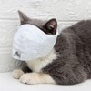 Cat Mask, Bite Prevention, Protective Mask, Cat Bathing, Ear Cleaning,