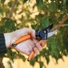 Fiskars Bypass Pruning Shears, 5/8-Inch Cut Capacity SoftGrip Hand Pruner