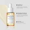 SKIN1004 Madagascar Centella Ampoule 30ml