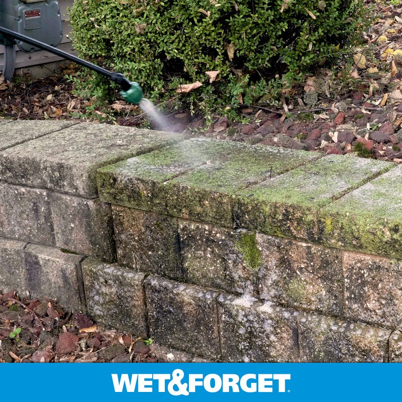 Wet & Forget Outdoor Moss Mold Mildew & Algae Stain