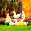 Chuxin Mini Resin Animals to Hide, 36pcs Tiny Ducks Fairy