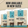 Vital Essentials Vital Essentials® Freeze-Dried Raw Beef Entree & Mixer