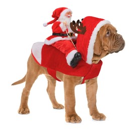 RANYPET Santa Dog Costume Christmas Pet Clothes Santa Claus Riding Pet Cosplay Costumes Party Dressing up Dog Outfit for Small Medium Large Dogs M