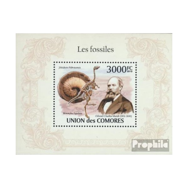 Prophila Collection Comoros Block 564 (Complete Edition) Mint NH **