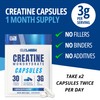 Creatine Monohydrate Capsules | 120 Capsules | 3000mg Per Serving