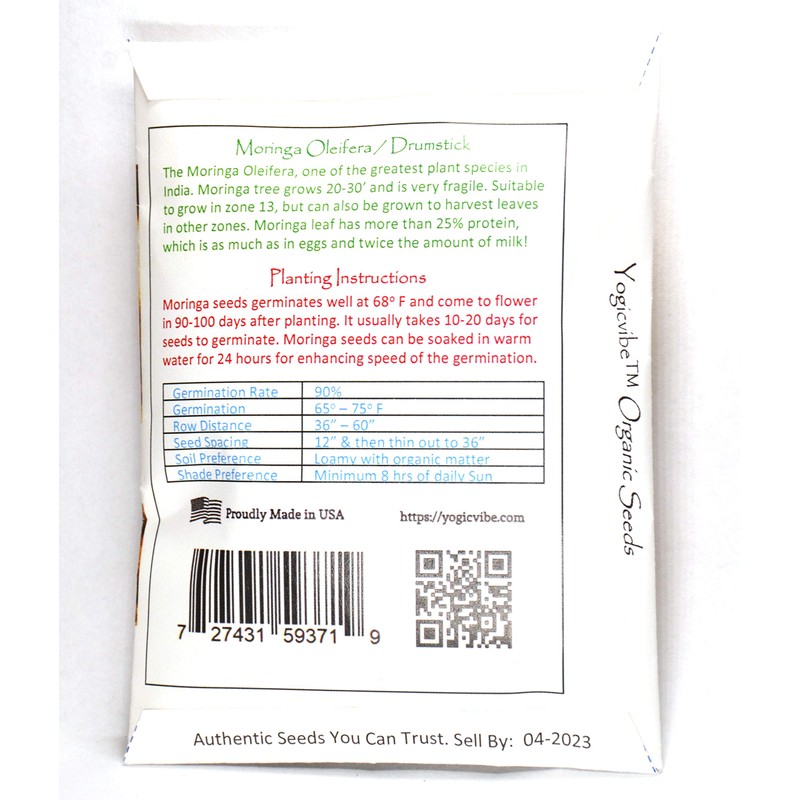 30 Organic Moringa Oleifera Drumstick Seeds Non-GMO for Sprouting, Planting,