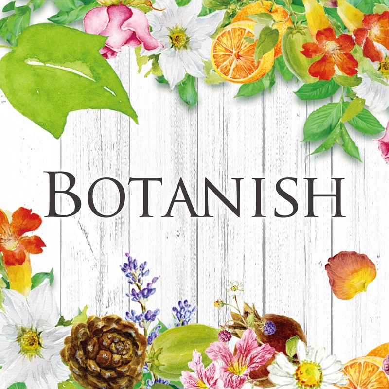 Harukado 3613 Carall Botanish Air 2-Pack Osmanthus