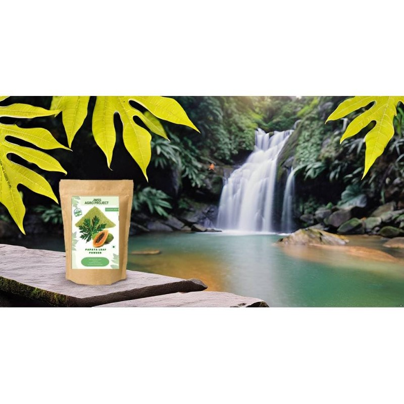 JMSS Agro Project Papaya Leaf Powder