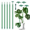 Extendable Plant Stakes, Length Scalable from 17.9IN to 42.3IN Plant