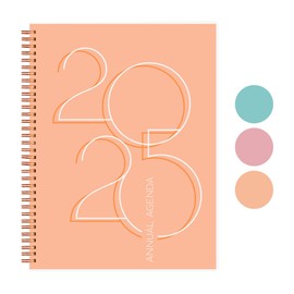 Rileys 2025 Annual Weekly Planner - Typographic Weekly & Monthly Agenda Planner, Flexible Cover, Notes Pages, Twin-Wire Binding (Peach - Deco, 8.5 x 11-Inches)