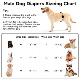 5 Pack Dog Diapers Male Reusable, Belly Bands for Male Dogs, High Absorbing Dog Pee Wraps for Doggie in Incontinence and Training Rabbit XL