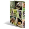 HERMA Ring Binder Animals with Forest Animals Motif, A4, 35
