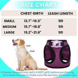JVVGPET Dog Harness with Airtag Holder for Small Dogs, Puppy, Cats - No Pull Step in Small Dog Harness and Reflective Dog Leash Set for Walking Training Travel Grooming Outdoor