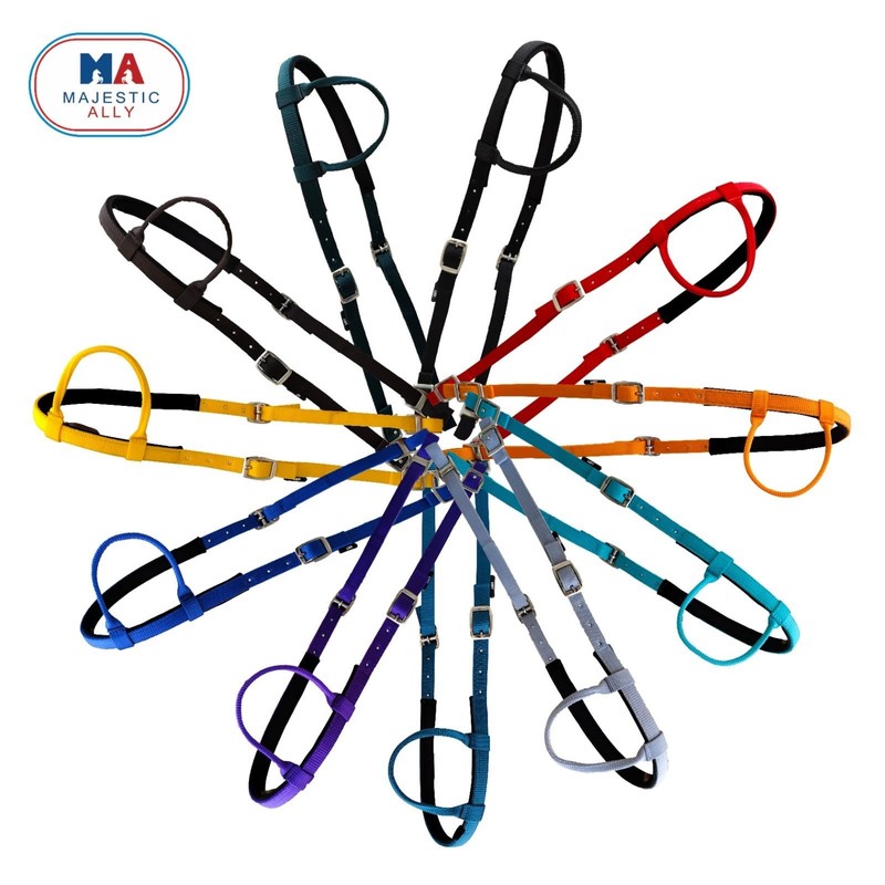 Majestic Ally Horse Headcollar Nylon Padded Extendable Single Ear 2