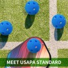 QUEMUIA Indoor Pickleball Balls,26 Holes Indoor Pickleballs USAPA Approved,4-Pack High