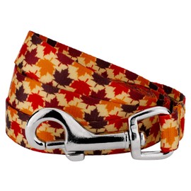 Country Brook Design - Nature Walk Dog Leash - Awesome Autumn Collection with 6 Designs You'll Fall for (6 Foot, 1/2 Inch Wide)