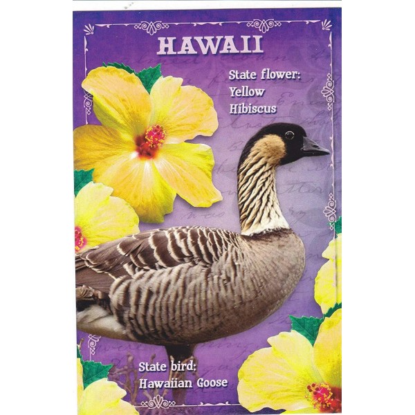 STATES3HAW The 50th State, ONE 1 CARD State flower: ..