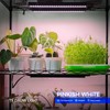 Barrina Barrina 1ft Grow Lights for Indoor Plants Full Spectrum,
