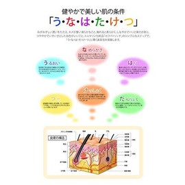 White Rich YJ Eco Foam White (Facial Cleanser) 3.5 oz (100 g)