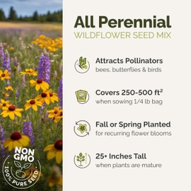 Eden Brothers All Perennial Wildflower Mixed Seeds for Planting, 1 lb, 480,000+ Seeds with Lupine, Shasta Daisy | Attracts Pollinators, Plant in Spring or Fall, Zones 3, 4, 5, 6, 7, 8, 9, 10