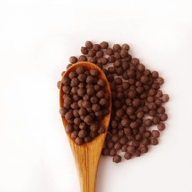 Dong-ui Hanjae 동의한재 오미자 약도라지 맥문동환 200g x 2개 Donguihanja Omija Yakdoraji Maekmundonghwan 200g x 2 pcs