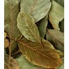 Dried Avocado Leaves 3 Oz Herbal Tea Healthy Face Hair Nail