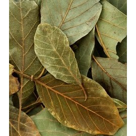 Dried Avocado Leaves 3 Oz Herbal Tea Healthy Face Hair Nail