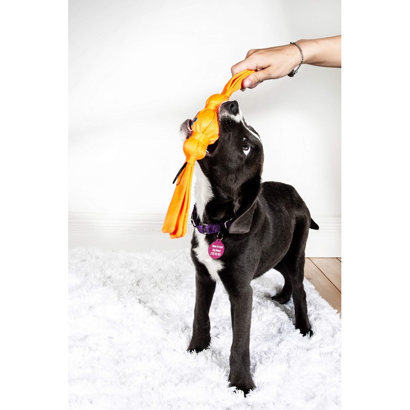 Hartz Tuff Stuff Fetch & Tug Dog Toy - Small
