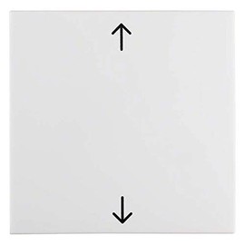 Hager S1 – Key Simple with Arrow Polar White Brightness