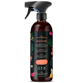 Naked Jungle Premium Plant-Based Glass Cleaner and Mirror Cleaner Spray for Streak-free Shine, Multi Purpose Car Window Cleaner, Eye Glasses Cleaner, Shower Glass Cleaner, 24 oz