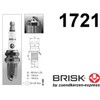 BRISK Iridium Racing DOR12IR 1721 Spark Plugs (Pack of 6)