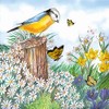 20 Napkins Bird Watching Spring Events Blue Tit Flowers Spring