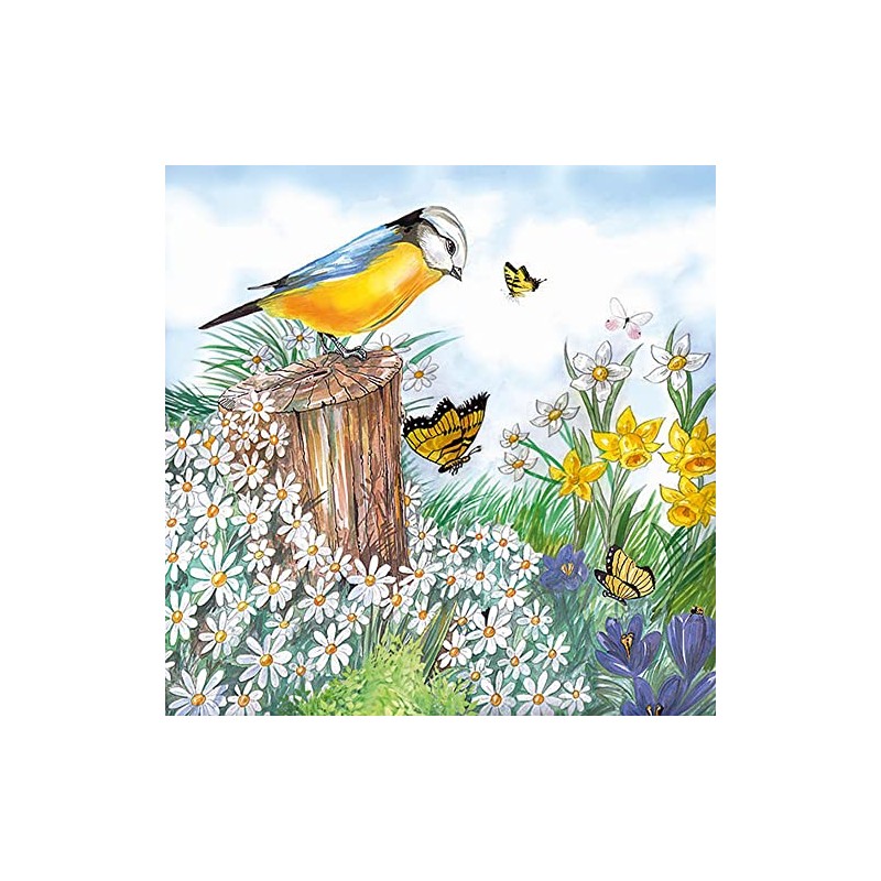 20 Napkins Bird Watching Spring Events Blue Tit Flowers Spring