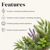 Young Living Aceite esencial R C de Essential Oils de