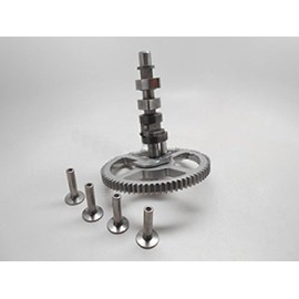 Briggs & Stratton 797242 Camshaft