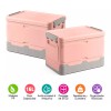 Trixter Caja Almacenamiento Plegable 2pzs Organizador Hogar Con Tapa