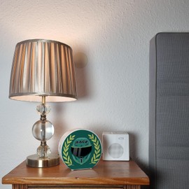 Motorsport Helmet Money Box in Racing Green with Winner Wreath Cool Motorsport Racing Car Helmet Motorcycle Piggy Bank Racing Money Box Fan Men Racing Piggy Bank Car Sports Car