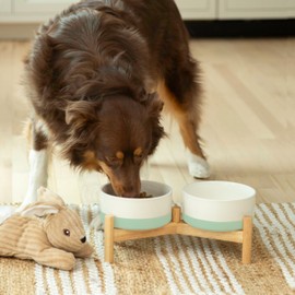 Ilyapa Ceramic Dog Bowls - Elevated for Medium Sized Pet with Raised Food and Water Set - Green Double 6 inch, 28 Oz Bowls & 13x6.3x5.5 Wooden Stand