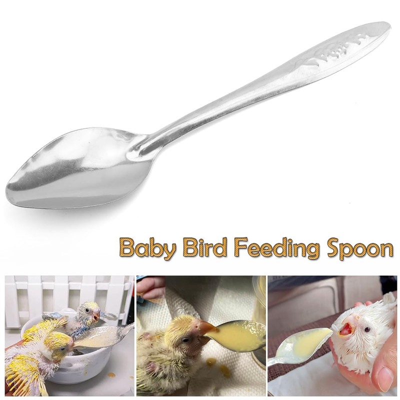 1 Set Small Bird Feeding Syringe Hand Feeding Tubes Kit