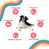 Gigwi Ball Pelota Para Perros Masticable Super Resistente Color Naranja